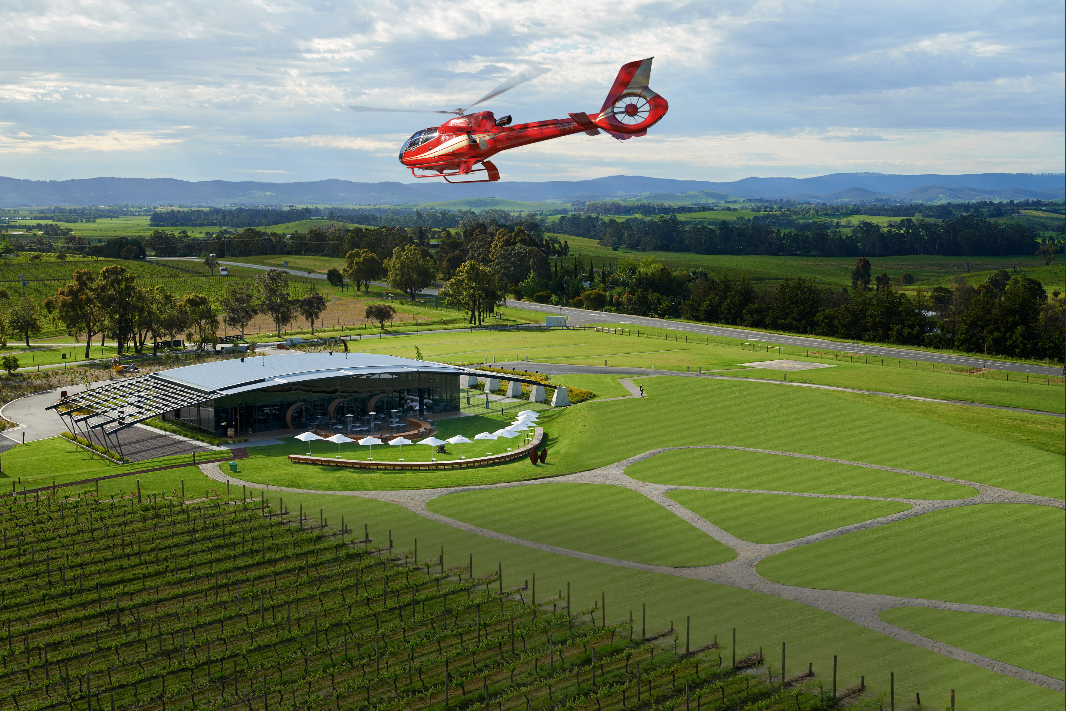 Helicopter flies over the vineyard