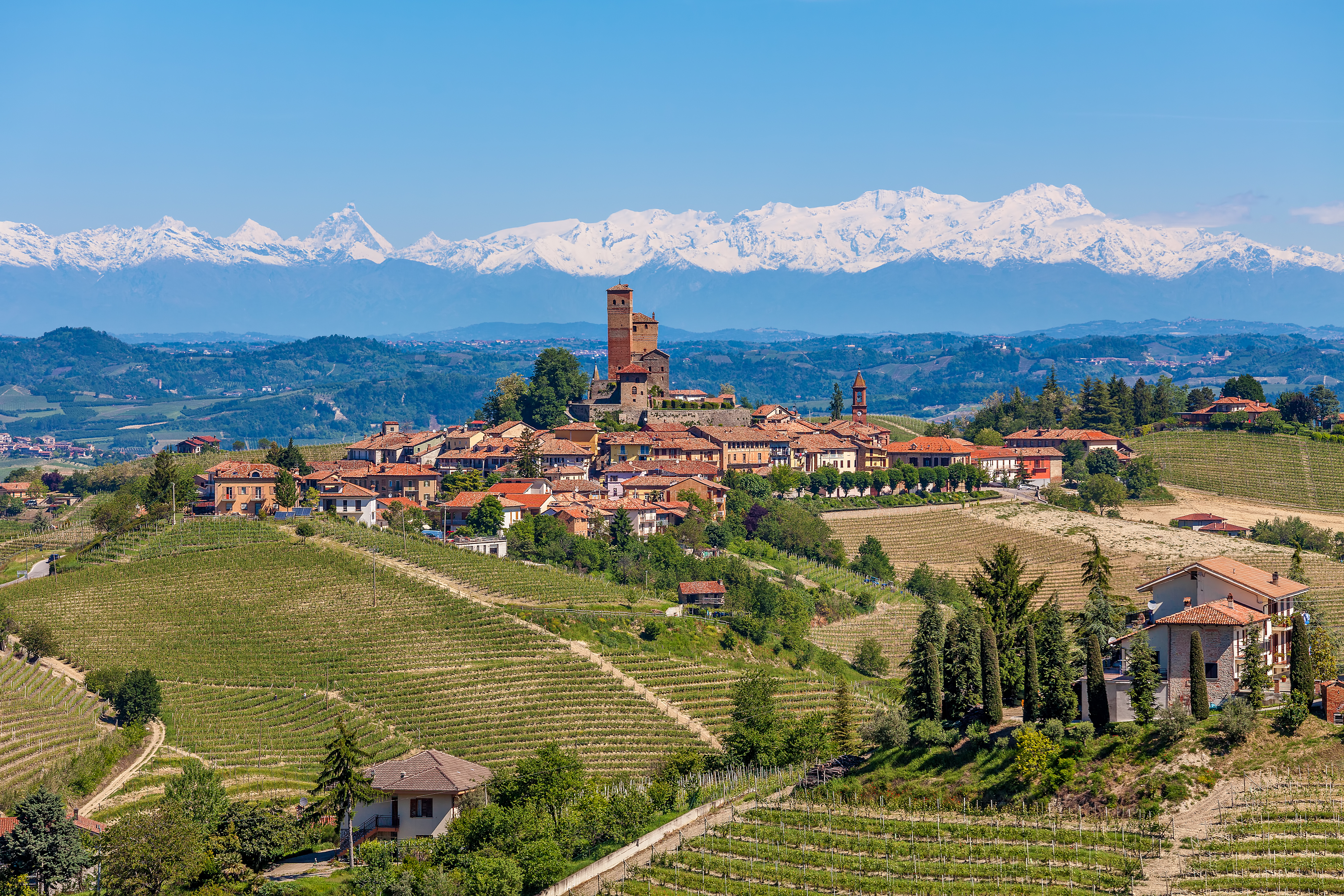 
				Piedmont, Italy