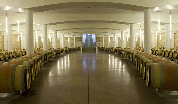 The Pauillac vineyards of Pontet-Canet.