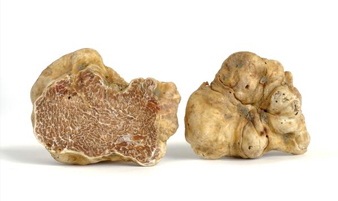 Alba White Truffles